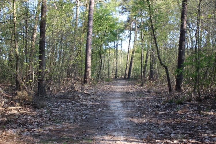 wandelpad kibbelkoele noord sleen wandelpad kibbelkoele noord sleen